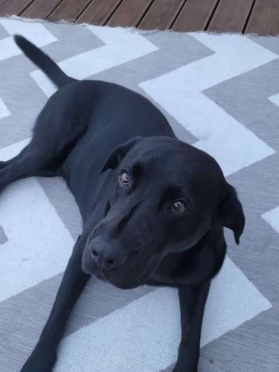 Handy-Foto Challange Nr. 10-Beitrag-Bild