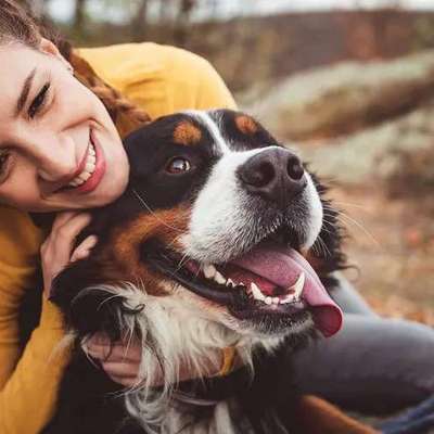 Hund adoptieren in der heutigen Zeit?-Beitrag-Bild