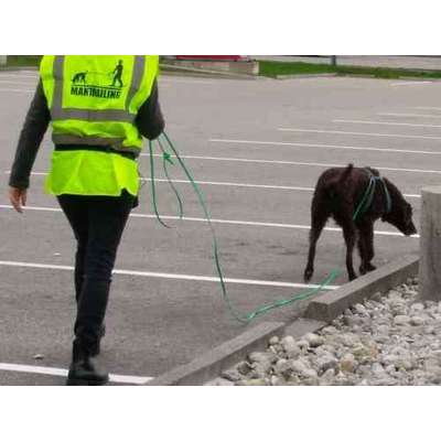 Mantrailing - wer hat damit Erfahrung ?-Beitrag-Bild