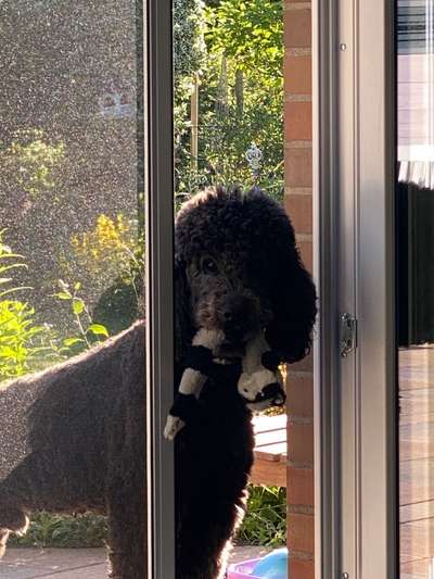 120. Fotochallenge-Beitrag-Bild