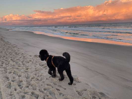 Sonnenaufgänge oder - untergänge-Beitrag-Bild