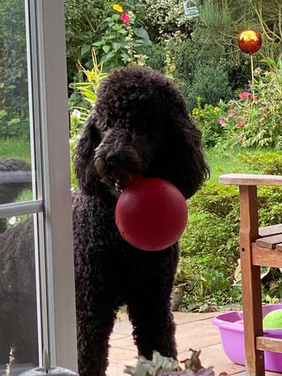 22. Collagen Challenge- Lebensfreude-Beitrag-Bild