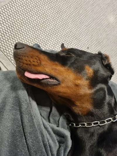 Foto Challenge Nr. 134-Beitrag-Bild