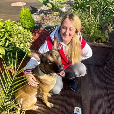 Hundetreffen-Trainingspartner gesucht-Profilbild