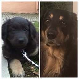 Vorher.... Nachher-Beitrag-Bild