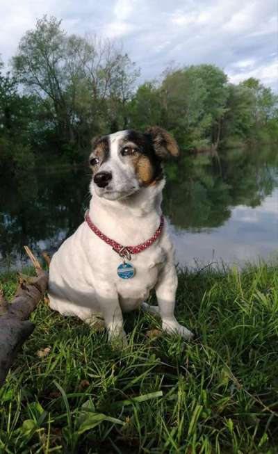 Dogorama-Monats-Challenge-Mai "Wasser"-Beitrag-Bild