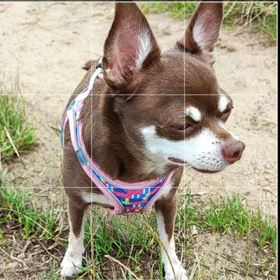 ReNa Wauz's Profilbild