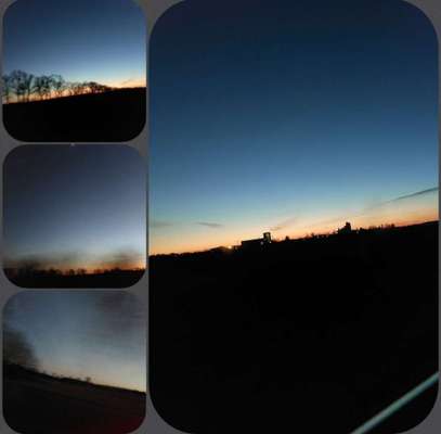 Die wunderschöne Welt mit Hund.-Beitrag-Bild