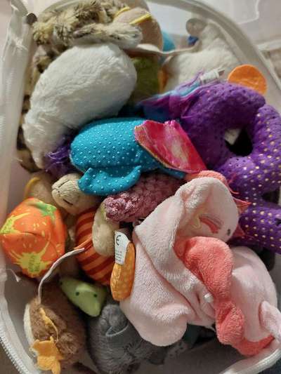 Ich hätte da mal eine Frage.....-Beitrag-Bild