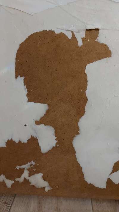 Zeig mir, dass du mit einem hund zusammenlebst....-Beitrag-Bild