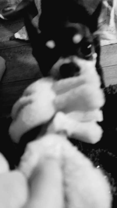 Un...scharf Bilder-Beitrag-Bild