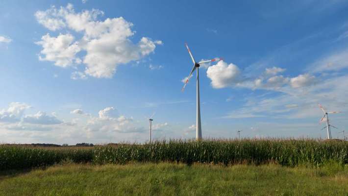 Die wunderschöne Welt mit Hund.-Beitrag-Bild