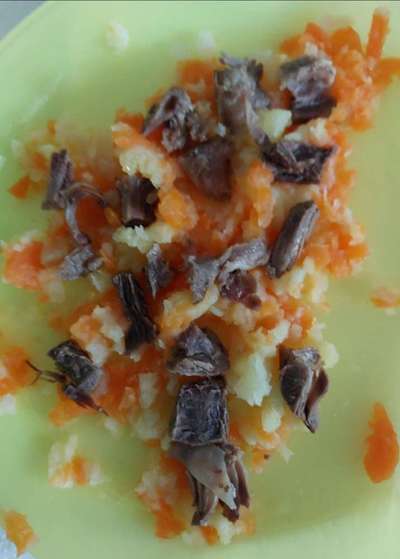 Zeigt her Eure Futternäpfe-Beitrag-Bild