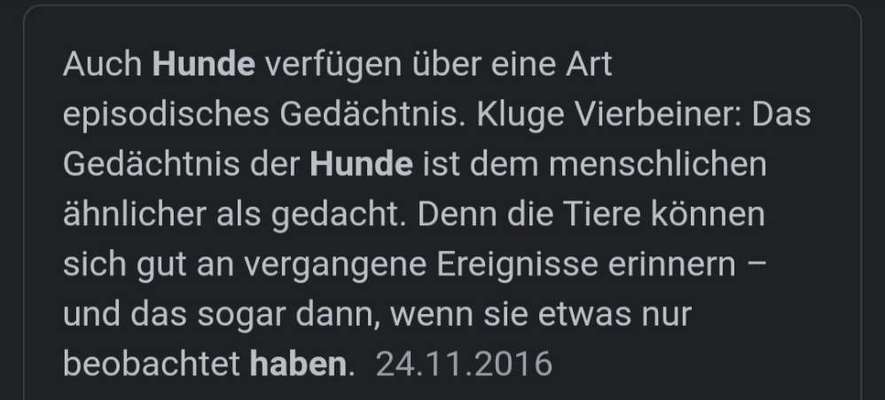 🐾Vermenschlichung🐾-Beitrag-Bild