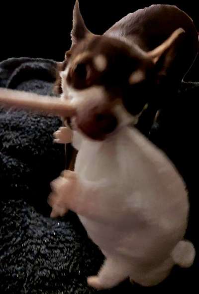 Un...scharf Bilder-Beitrag-Bild