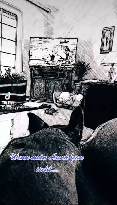 Dogorama Photo Challenge - Wir schauen fern (TV)-Beitrag-Bild