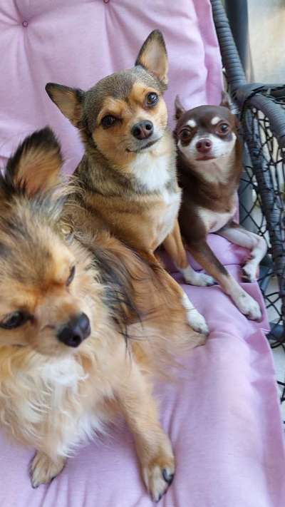 Fotochallenge 88-Beitrag-Bild