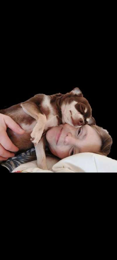 Dogorama Photo Challenge - Selfie Time!-Beitrag-Bild