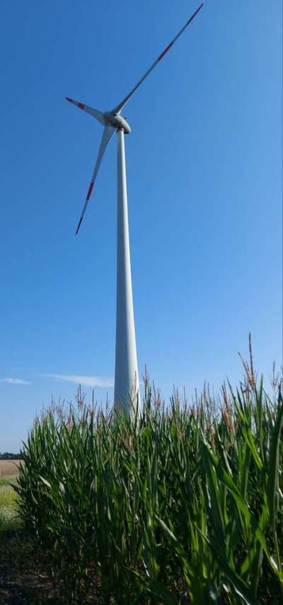 Die wunderschöne Welt mit Hund.-Beitrag-Bild