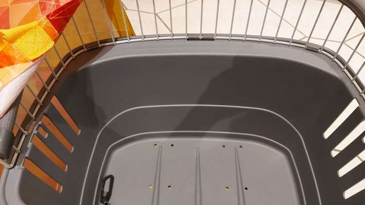 Fahrradfahren/Fahrradtour mit kleinem Hund-Beitrag-Bild