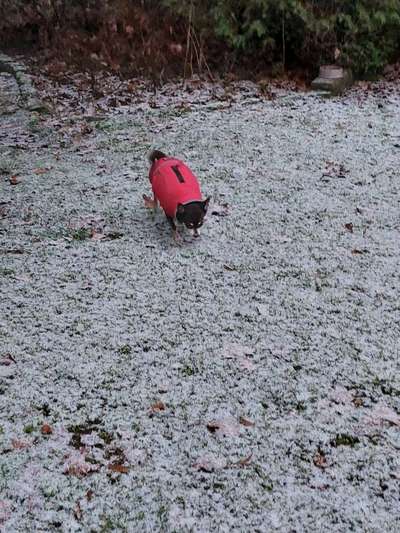Der erste Schnee, zeigt uns eure tollen Schneemomente-Beitrag-Bild