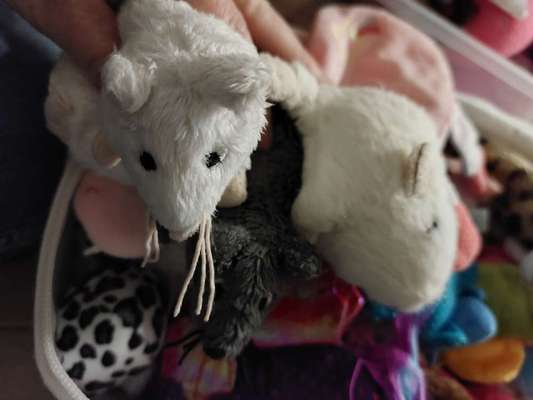 Ich hätte da mal eine Frage.....-Beitrag-Bild