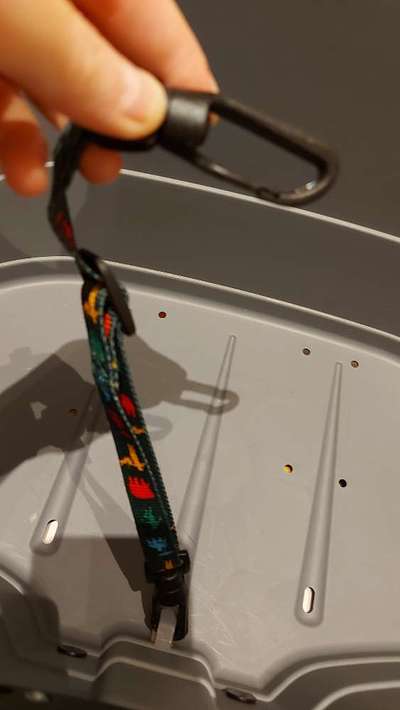 Fahrradfahren/Fahrradtour mit kleinem Hund-Beitrag-Bild