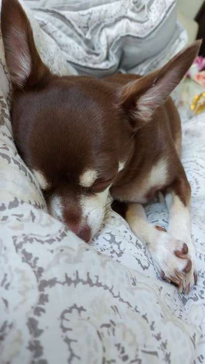 Gemeinsames Kuscheln im Bett!-Beitrag-Bild