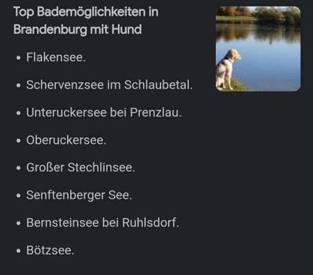 Berlin / Brandenburg Hundestrand im Osten / Südosten-Beitrag-Bild