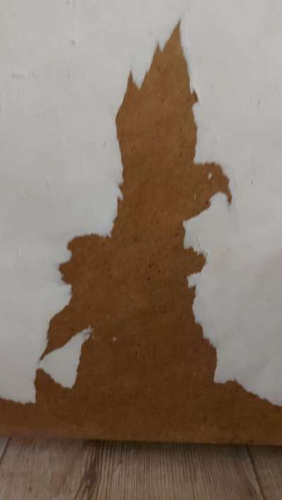 Zeig mir, dass du mit einem hund zusammenlebst....-Beitrag-Bild