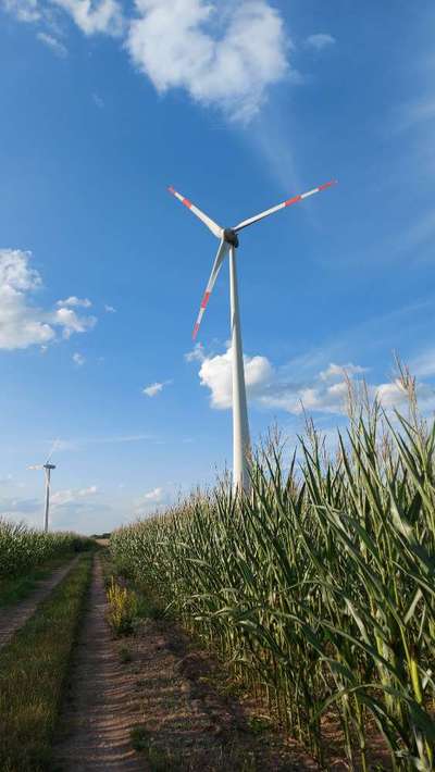 Die wunderschöne Welt mit Hund.-Beitrag-Bild