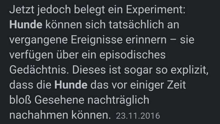 🐾Vermenschlichung🐾-Beitrag-Bild