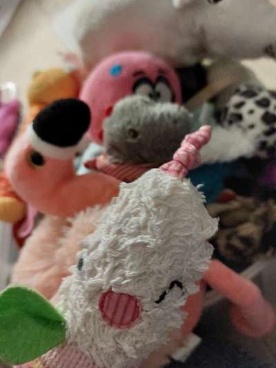 Ich hätte da mal eine Frage.....-Beitrag-Bild