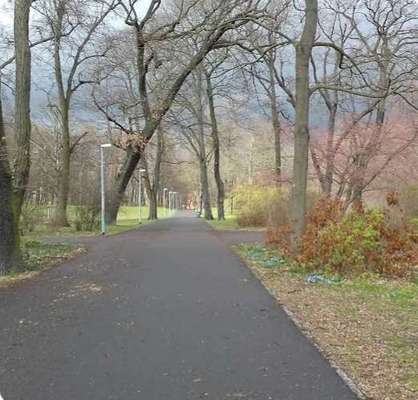 Hundeauslaufgebiet-Bellevuepark Köpenick-Bild