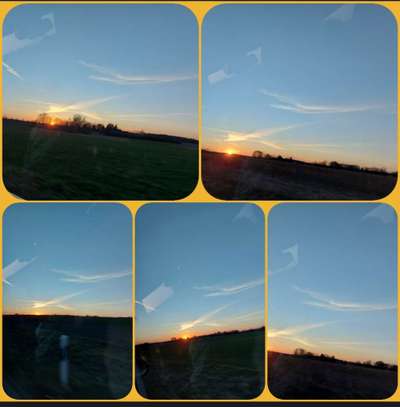 Die wunderschöne Welt mit Hund.-Beitrag-Bild