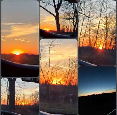 Die wunderschöne Welt mit Hund.-Beitrag-Bild