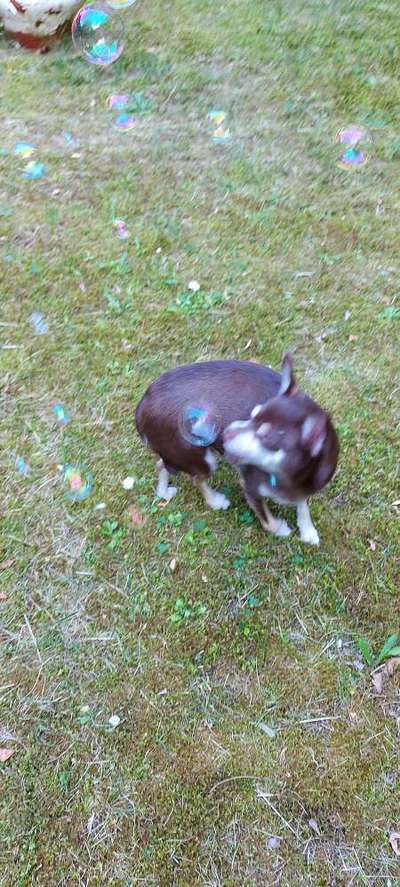 Un...scharf Bilder-Beitrag-Bild