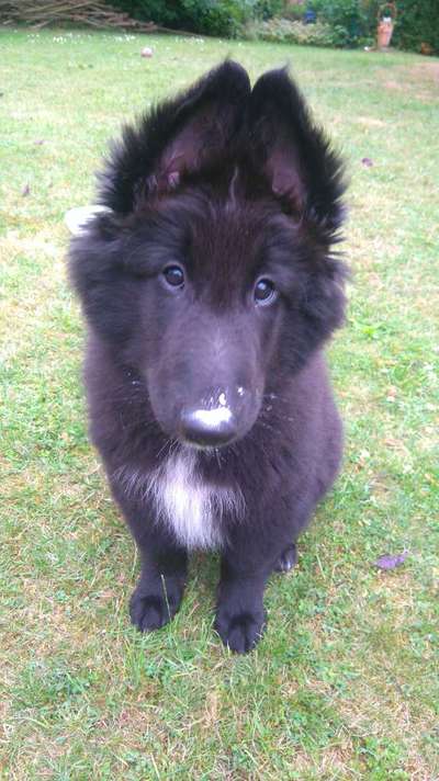 Fotochallange Nummer 5-Beitrag-Bild