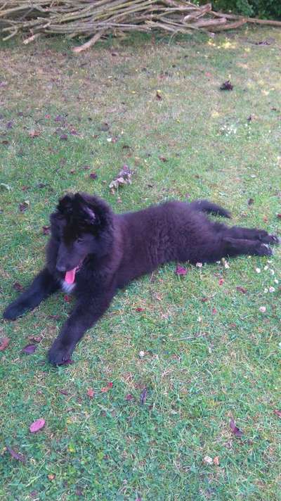 FOTO-Challenge  NR. 91: Die pure Entspannung-Beitrag-Bild