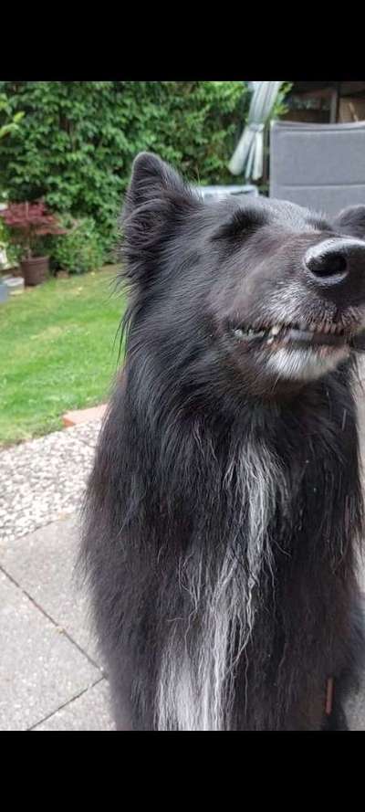 Foto-Challange No.1 - Alles aber nicht die Kamera-Beitrag-Bild