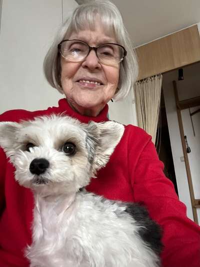 Hundetreffen-Gassirunde in München Bogenhausen-Bild