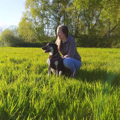 Hundetreffen-Improvisierter Social Walk