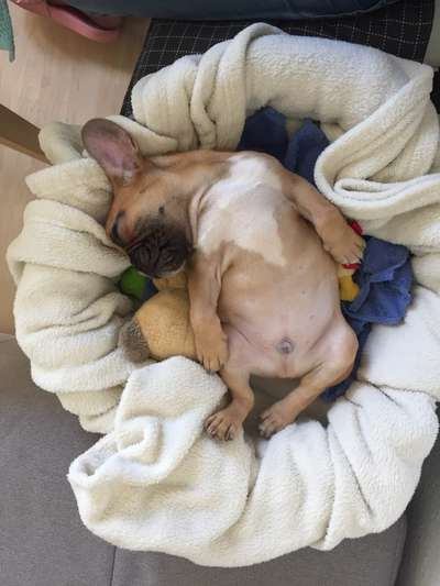 Sie werden so schnell erwachsen ...-Beitrag-Bild