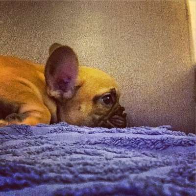 Lieblingsbild :D-Beitrag-Bild