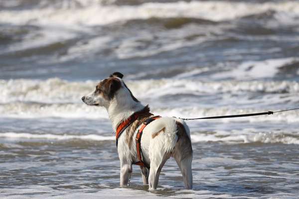 Fotochallenge Nr. 67: Euer Lieblingsbild-Beitrag-Bild