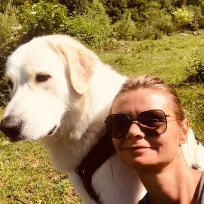 Hundetreffen-Gerne Gassi oder auch wandern-Profilbild