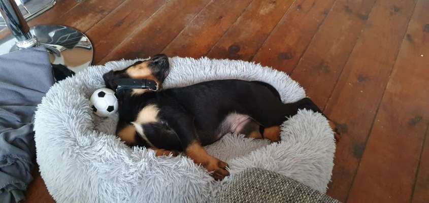 Sie werden so schnell erwachsen ...-Beitrag-Bild