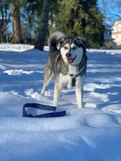 Zeigt eure Portraits-Beitrag-Bild