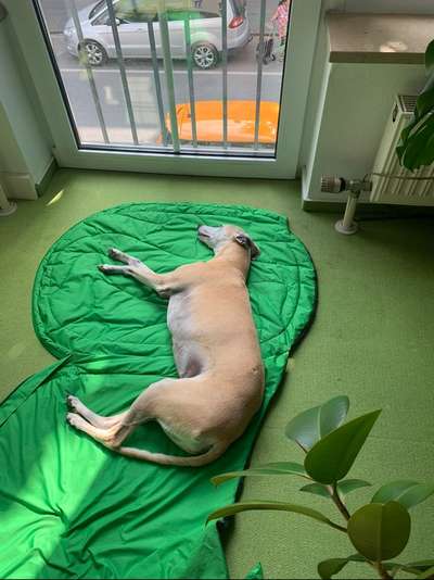 120. Fotochallenge-Beitrag-Bild