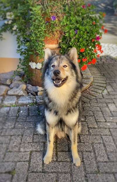 Zeigt eure Portraits-Beitrag-Bild